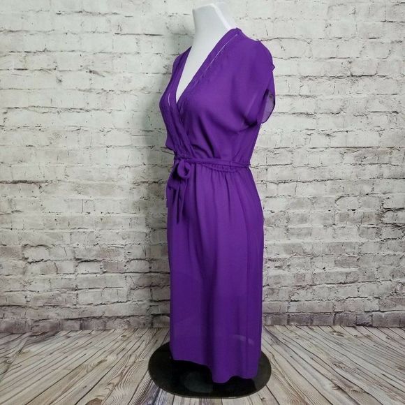 VTG Brasseur of California‎ Purple Sheer Nightgown - Picture 5 of 8